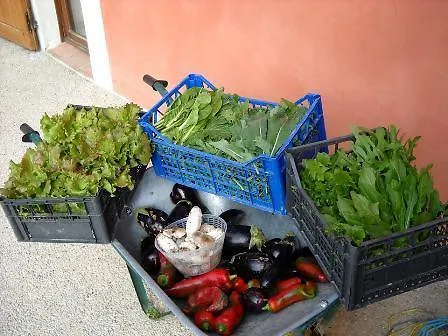 Godere Agricolo Penna Alta